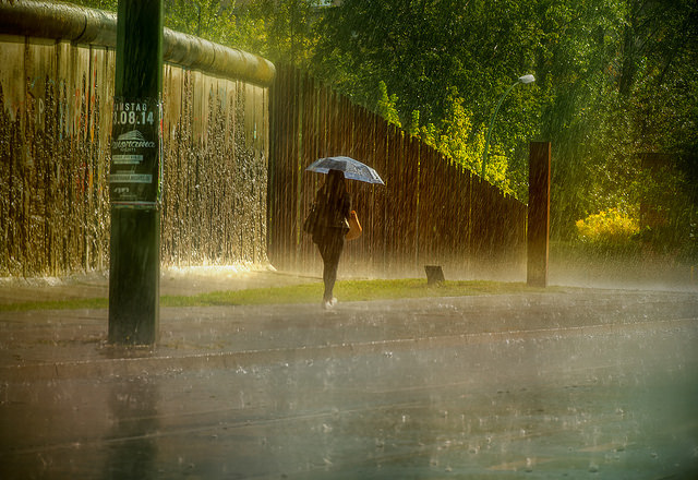 Raining cats and dogs in Berlin